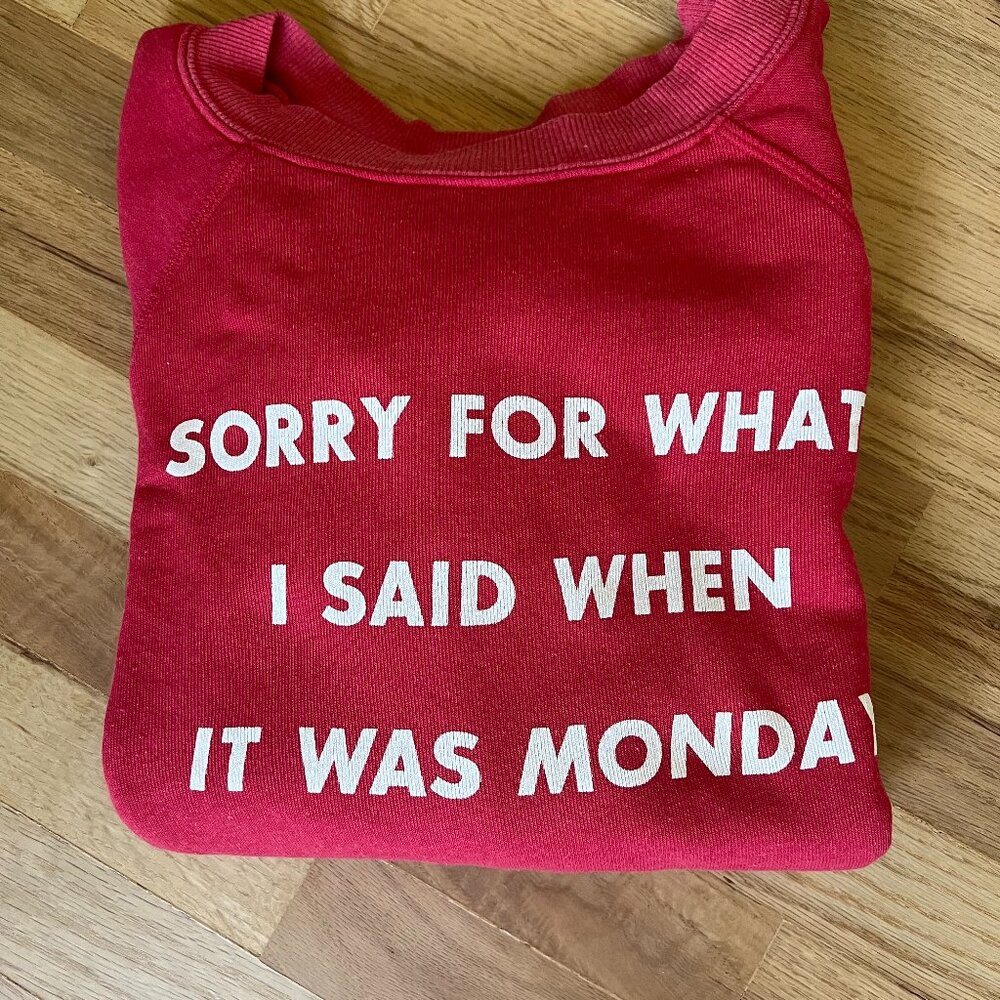 WILDFOX SORRY FOR WHAT I SAID WHEN IT WAS MONDAY SWEATSHIRT - Picture 6 of 6